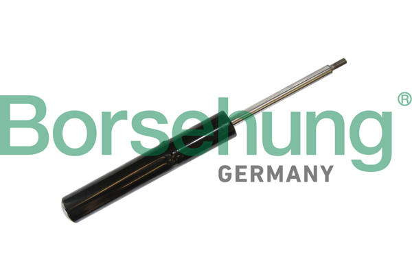 Amortyzator BORSEHUNG B11182