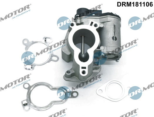 Zawór EGR DR.MOTOR AUTOMOTIVE DRM181106