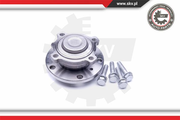 Zestaw łożysk koła ESEN SKV 29SKV250