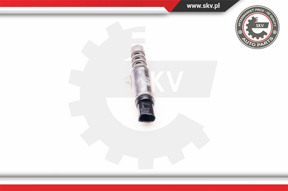 Zawór zmiennych faz rozrządu ESEN SKV 39SKV010