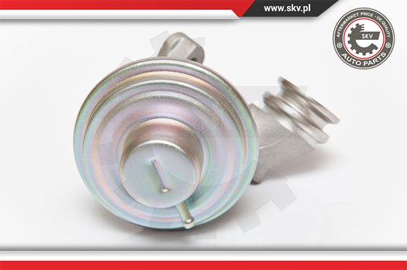 Zawór EGR ESEN SKV 14SKV075