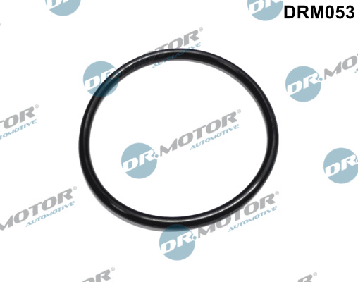 Uszczelka, filtr paliwa DR.MOTOR AUTOMOTIVE DRM053
