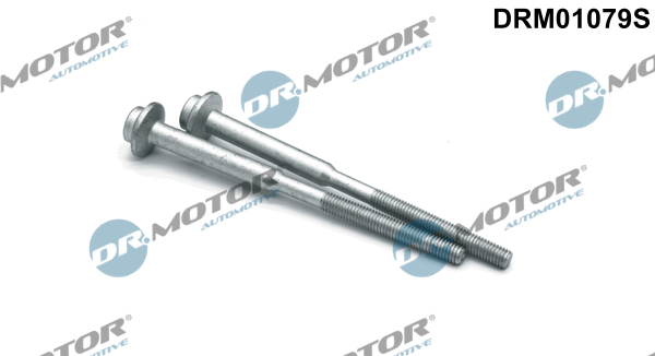 Śruba wtryskiwacza DR.MOTOR AUTOMOTIVE DRM01079S