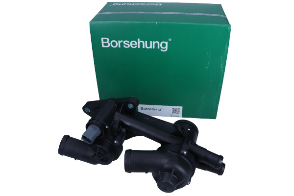 Termostat BORSEHUNG B18249