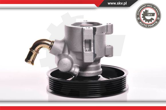 Pompa wspomagania ESEN SKV 10SKV142