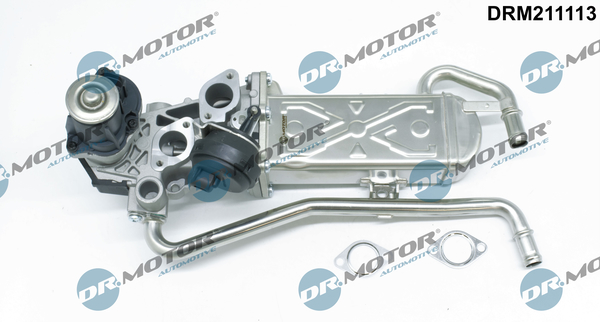 Zawór EGR DR.MOTOR AUTOMOTIVE DRM211113