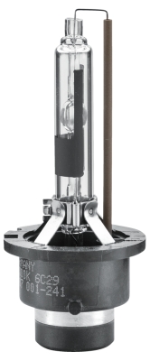 Żarówka HELLA 8GS 007 001-241