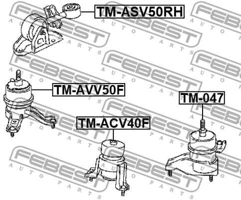Poduszka silnika FEBEST TM-ASV50RH