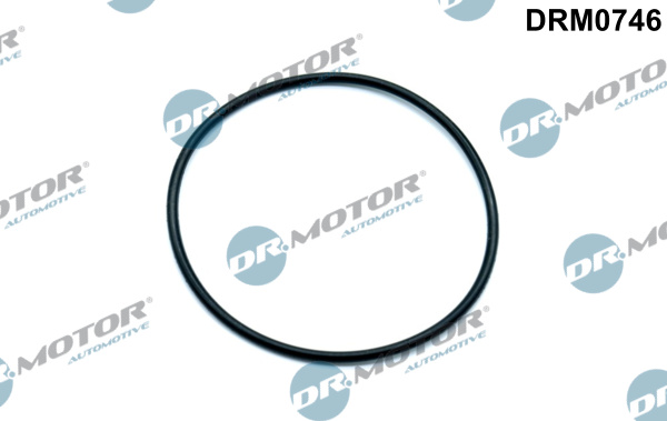 Uszczelka pompy podcisnieniowej DR.MOTOR AUTOMOTIVE DRM0746