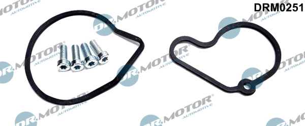 Zestaw naprawczy pompy podciśnienia DR.MOTOR AUTOMOTIVE DRM0251