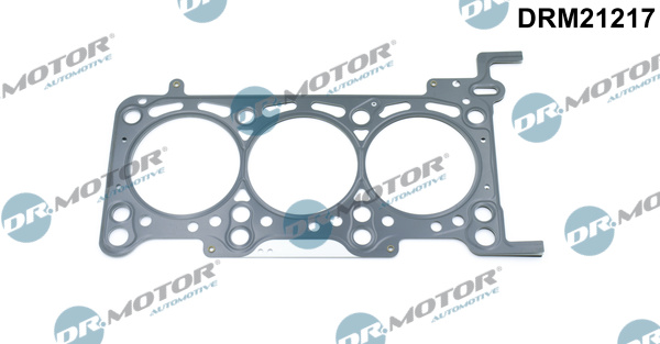 Zestaw uszczelek głowicy cylindrów DR.MOTOR AUTOMOTIVE DRM21217