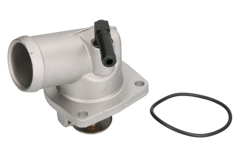 Termostat THERMOTEC D2X019TT