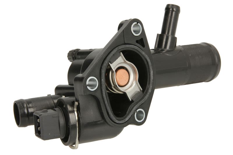 Termostat THERMOTEC D2R006TT