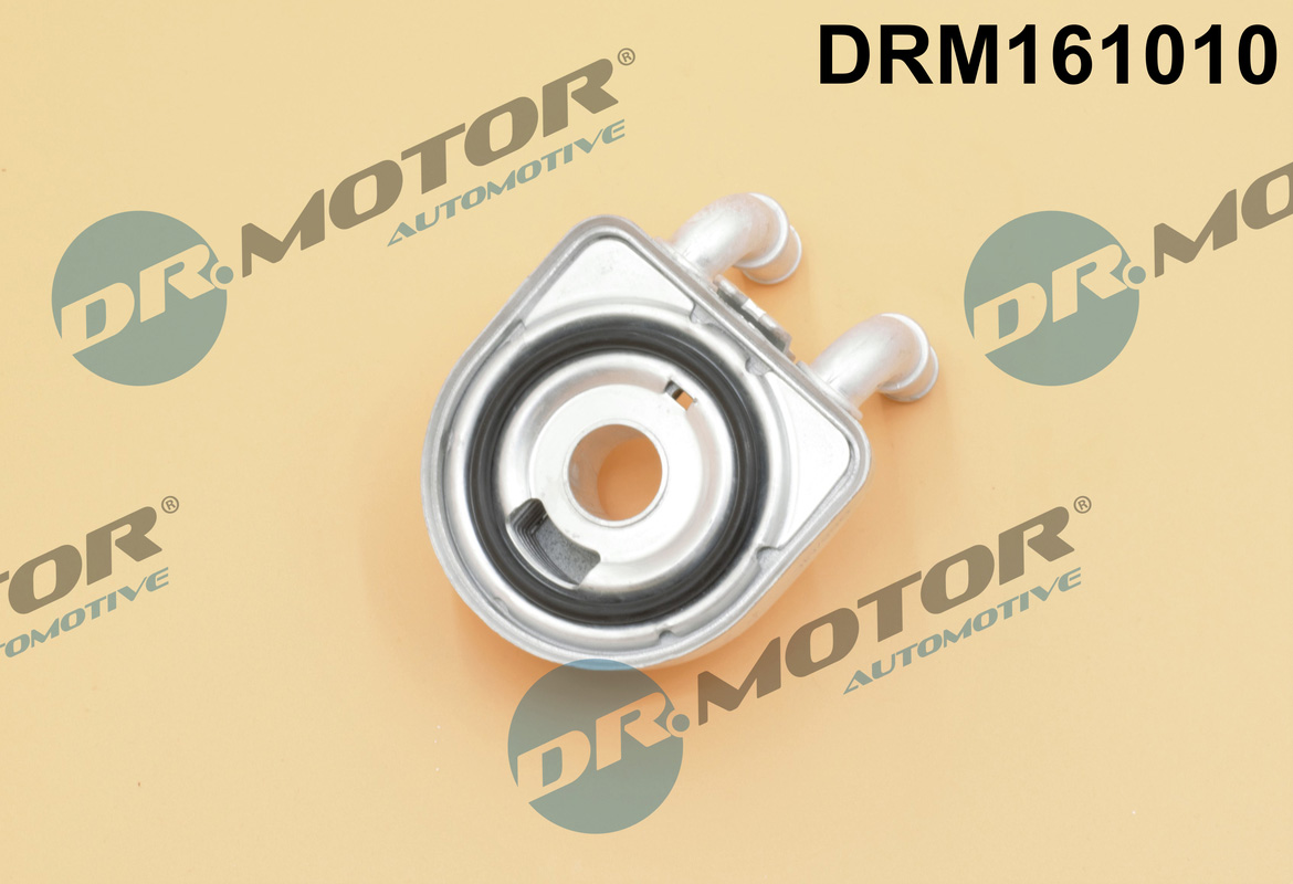Chłodnica oleju silnikowego DR.MOTOR AUTOMOTIVE DRM161010