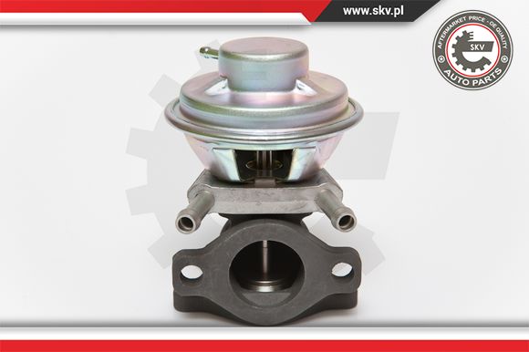 Zawór EGR ESEN SKV 14SKV062