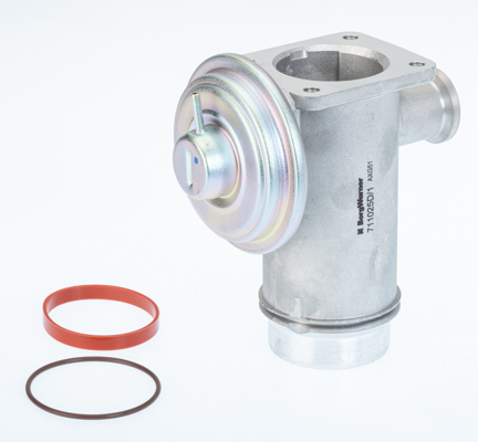 Zawór EGR BORGWARNER (WAHLER) 711025D/1