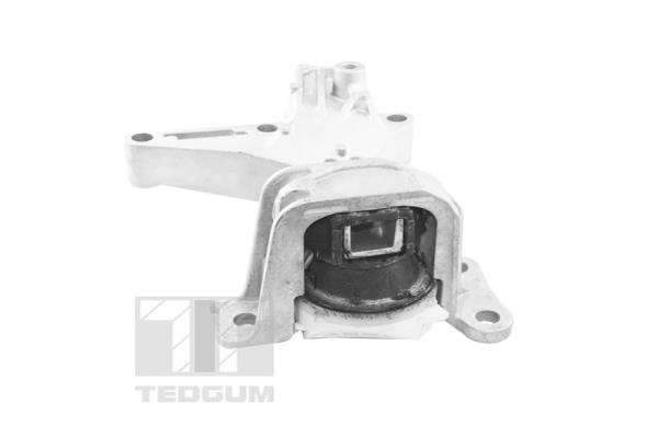 Poduszka silnika TEDGUM TED61737