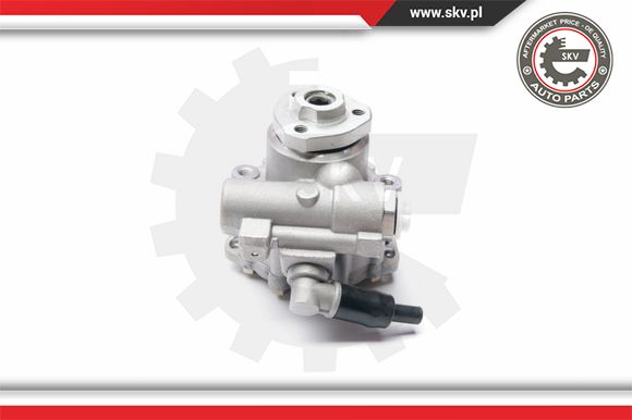 Pompa wspomagania ESEN SKV 10SKV223