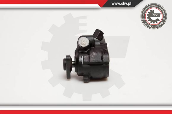 Pompa wspomagania ESEN SKV 10SKV056