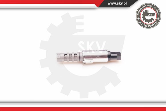 Zawór zmiennych faz rozrządu ESEN SKV 39SKV010