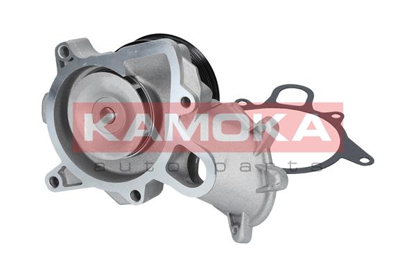 Pompa wody KAMOKA T0060