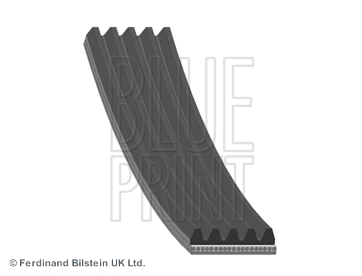 Pasek klinowy wielorowkowy BLUE PRINT AD05R685