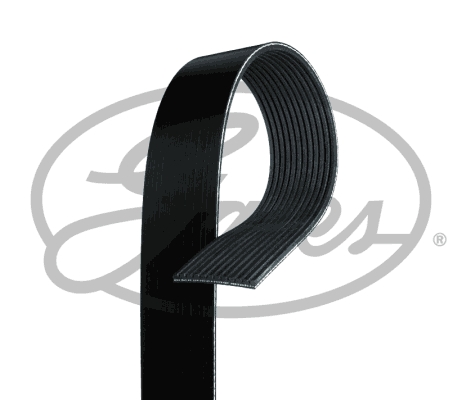 Pasek klinowy wielorowkowy GATES 12PK717