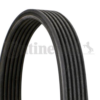 Pasek klinowy wielorowkowy CONTITECH 6DPK1188