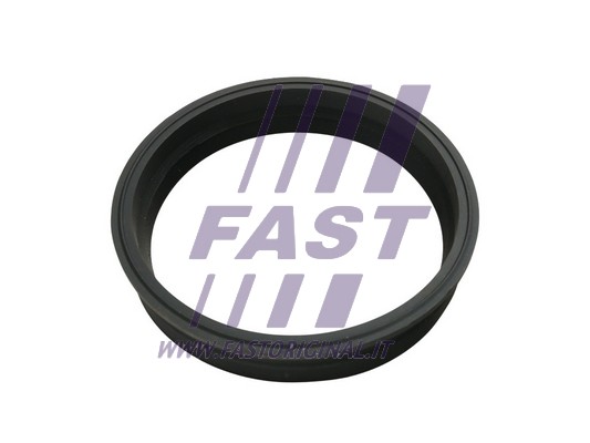 Uszczelka kosza pompy paliwa FAST FT48501