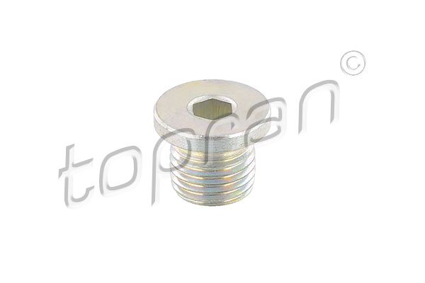 Korek spustowy oleju TOPRAN 115 349