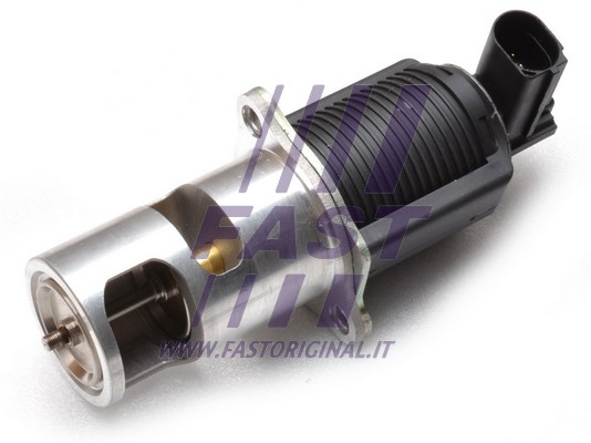 Zawór EGR FAST FT60213