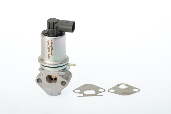 Zawór EGR BORGWARNER (WAHLER) 710778D/1