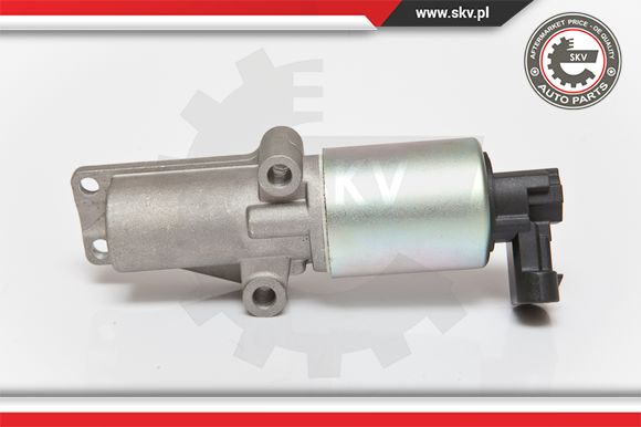 Zawór EGR ESEN SKV 14SKV065