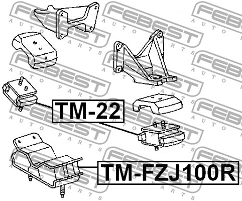 Poduszka silnika FEBEST TM-22