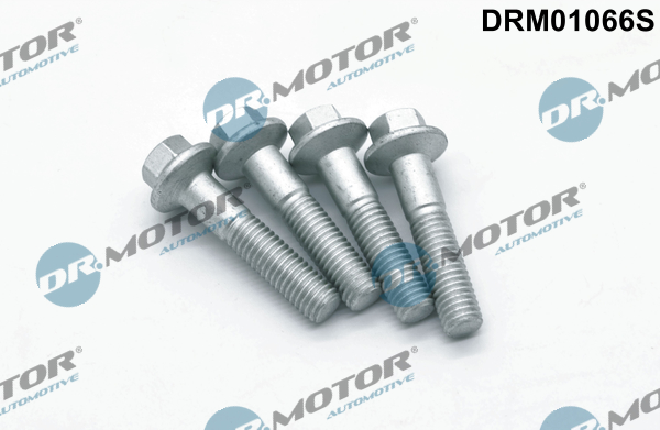 Śruba wtryskiwacza DR.MOTOR AUTOMOTIVE DRM01066S