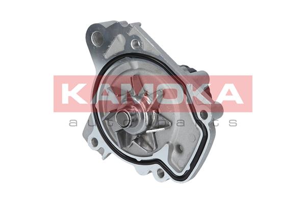 Pompa wody KAMOKA T0148