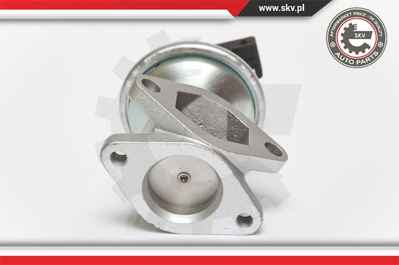 Zawór EGR ESEN SKV 14SKV050