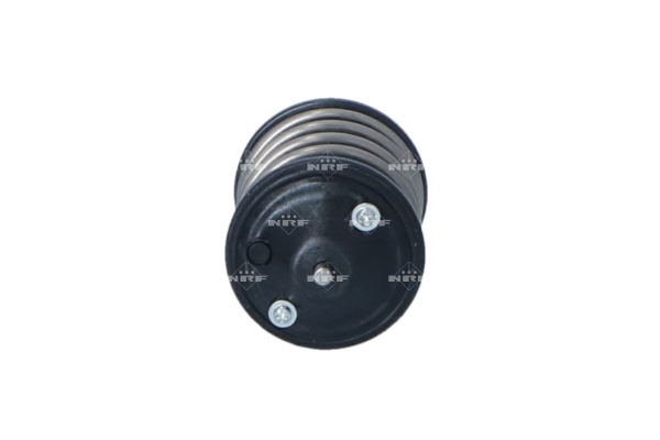 Termostat NRF 725219