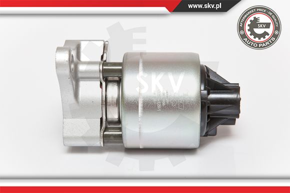 Zawór EGR ESEN SKV 14SKV056