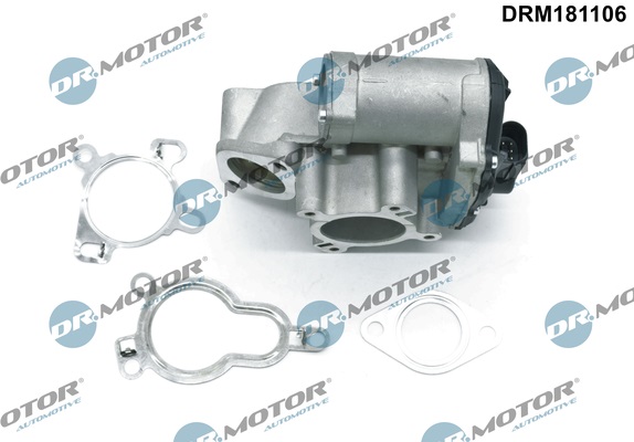 Zawór EGR DR.MOTOR AUTOMOTIVE DRM181106