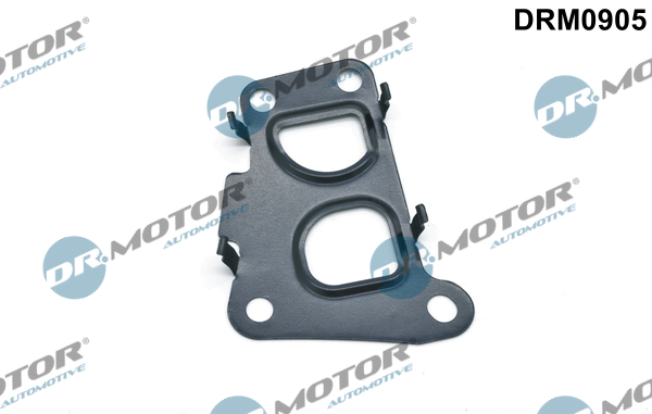Uszczelnienie zaworu AGR DR.MOTOR AUTOMOTIVE DRM0905