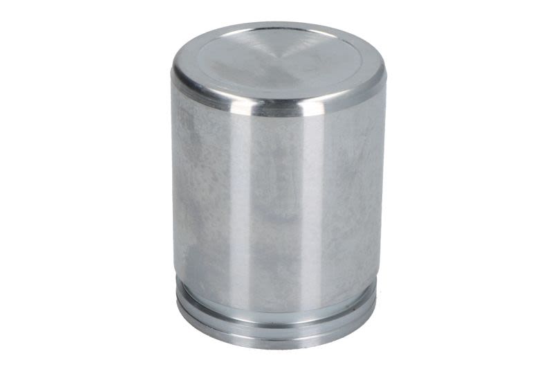 Tłoczek zacisku hamulcowego AUTOFREN SEINSA D025282