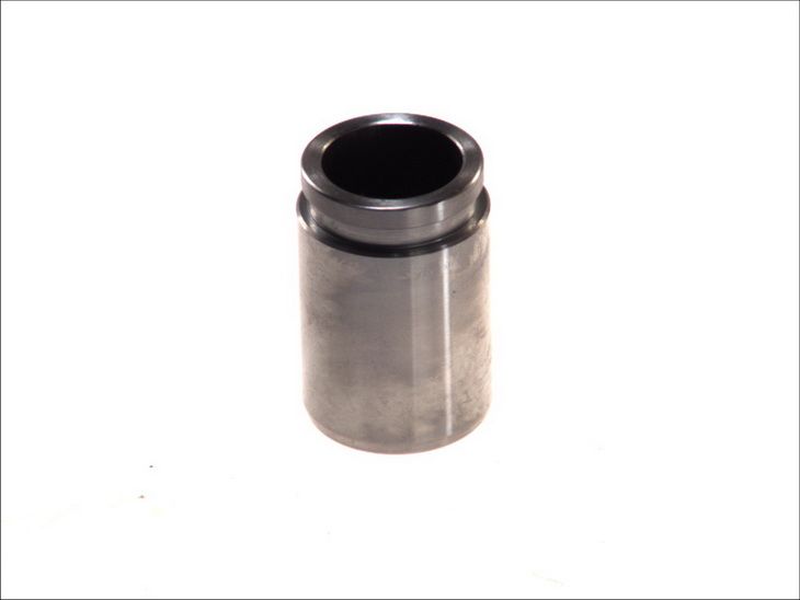 Tłoczek zacisku hamulcowego AUTOFREN SEINSA D02599