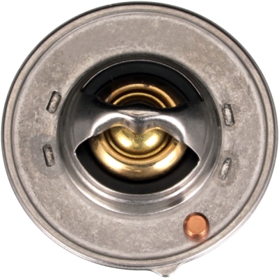 Termostat GATES TH64488G1