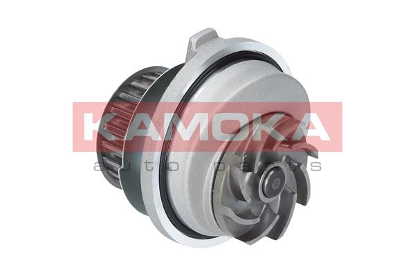 Pompa wody KAMOKA T0107