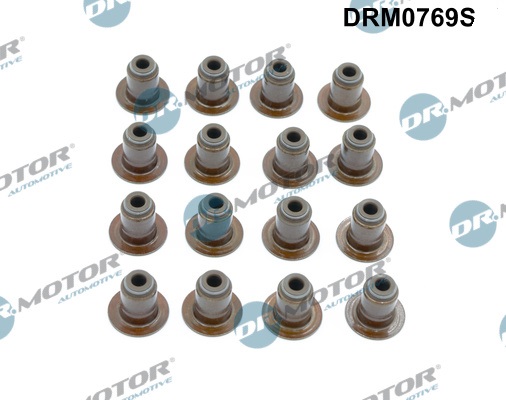Zestaw uszczelniaczy trzonka zaworu DR.MOTOR AUTOMOTIVE DRM0769S