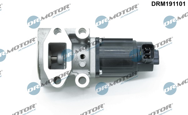Zawór EGR DR.MOTOR AUTOMOTIVE DRM191101