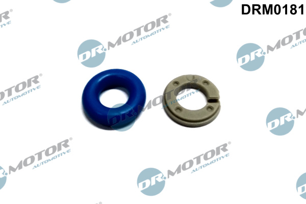 Zestaw naprawczy wtryskiwacza DR.MOTOR AUTOMOTIVE DRM0181