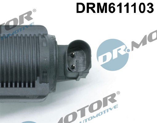 Zawór EGR DR.MOTOR AUTOMOTIVE DRM611103