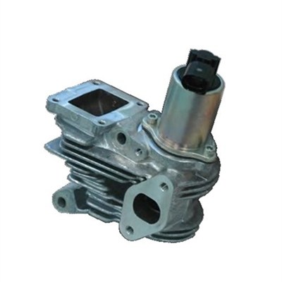 Zawór EGR MAGNETI MARELLI 571822112044